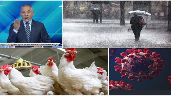 أخبار التوك شو