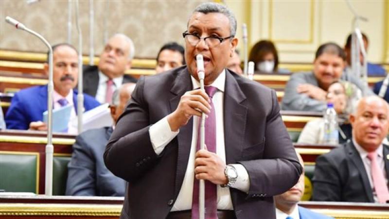 النائب مصطفى سالم