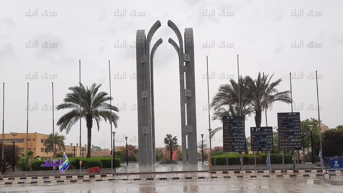 جامعة حلوان 