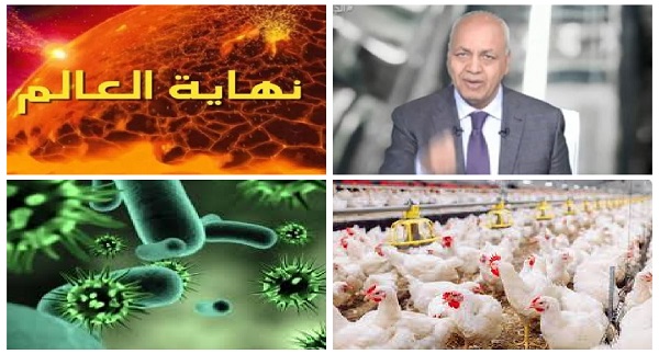 أخبار التوك شو