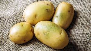 بطاطس بها علامات خضراء