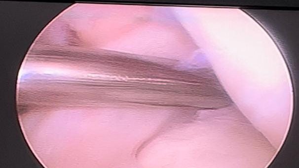 صورة موضوعية