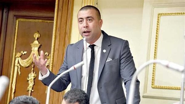  النائب احمد بهاء شلبي