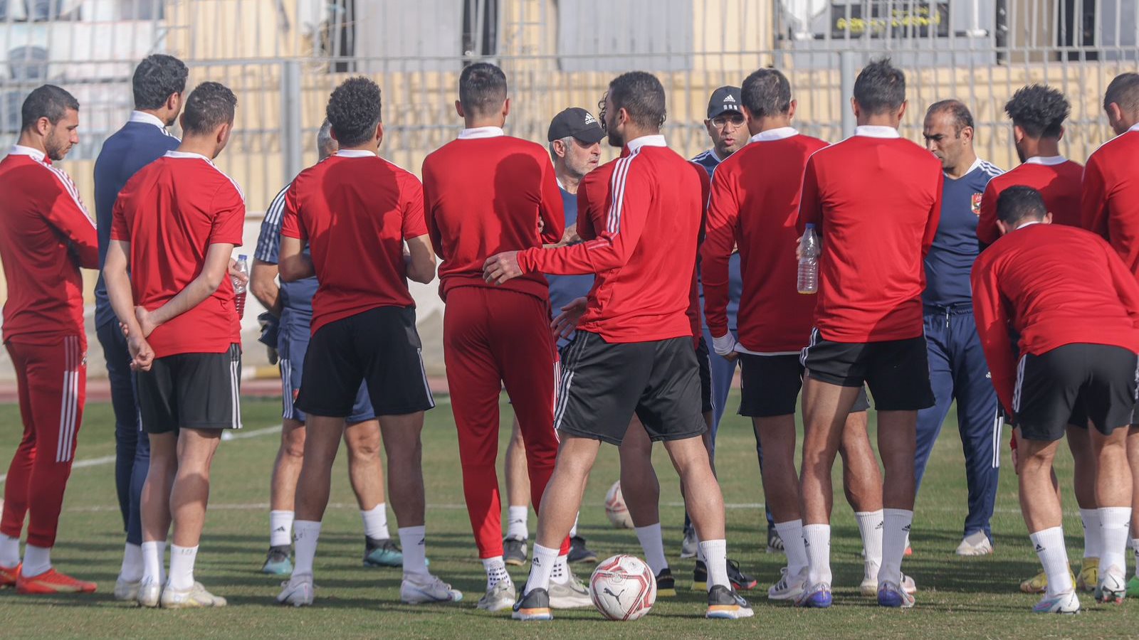 الاهلي