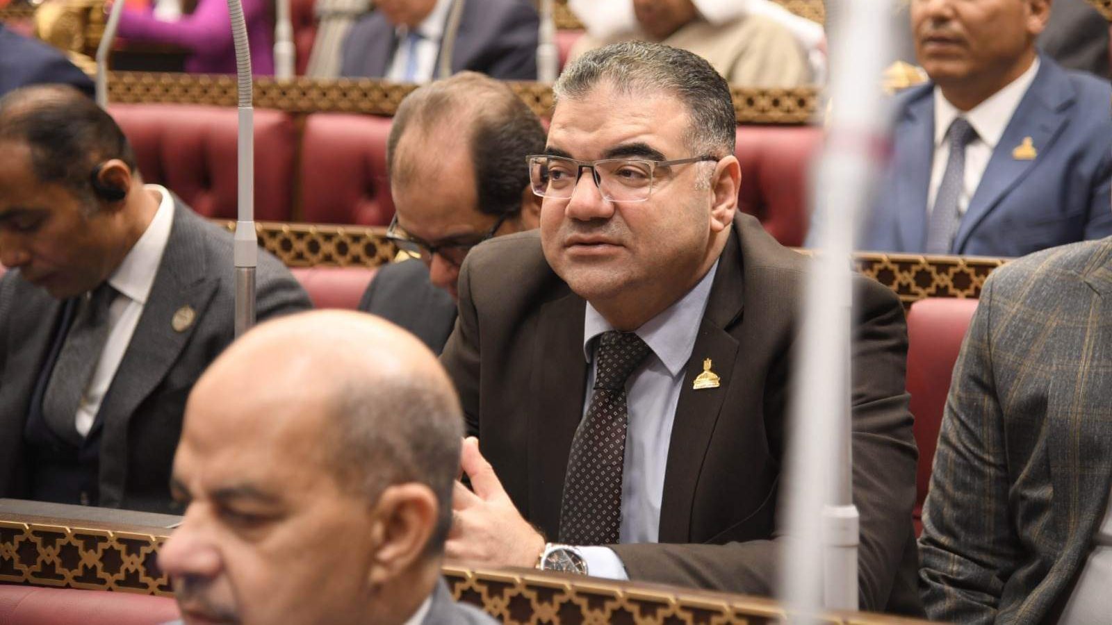 النائب سيد حجازي