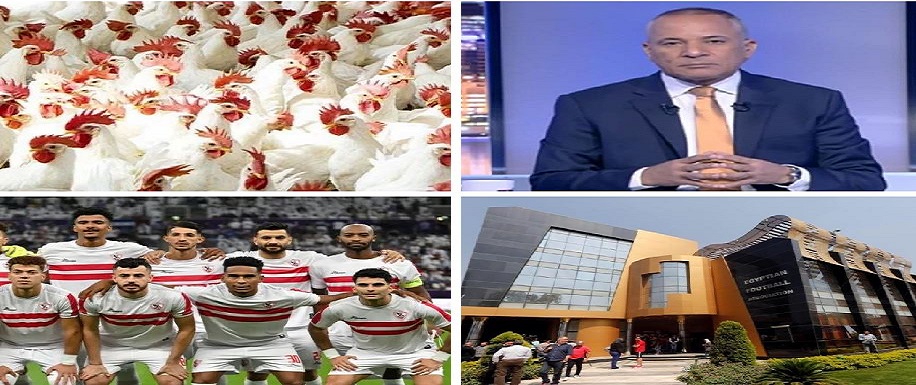 اخبار التوك شو