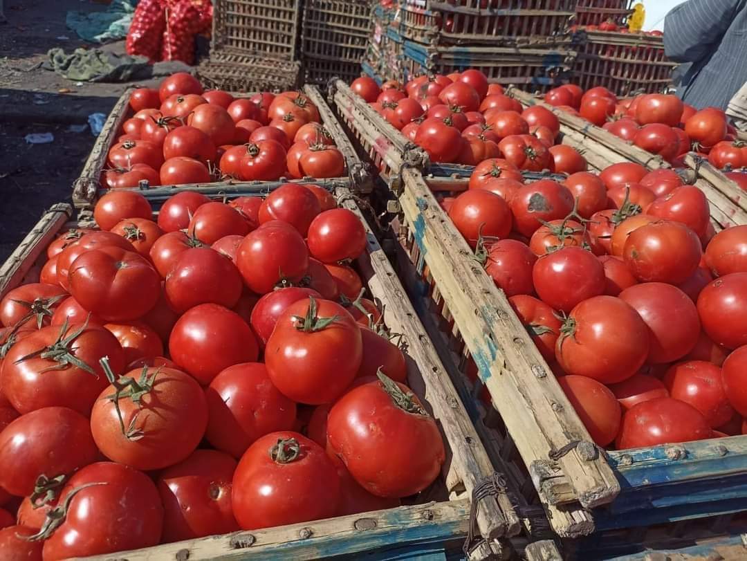 ثبات أسعار الخضر والفاكهة بالإسماعيلية 