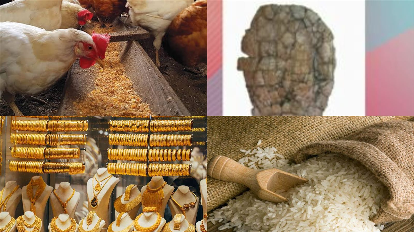 اخبار التوك شو