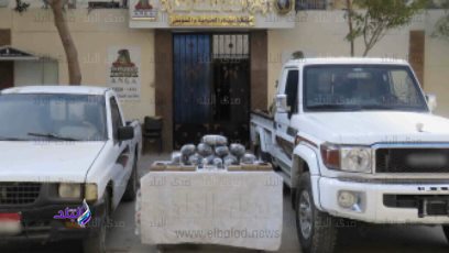المضبوطات