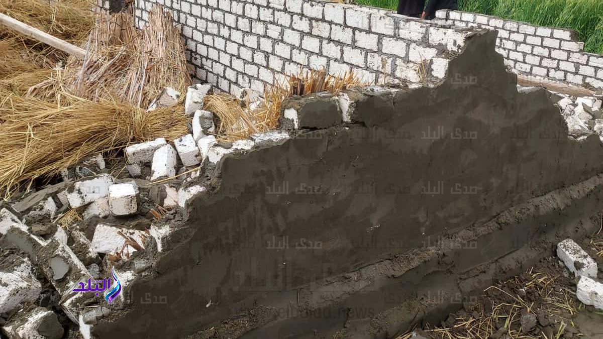 إزالة حالة تعدٍ 