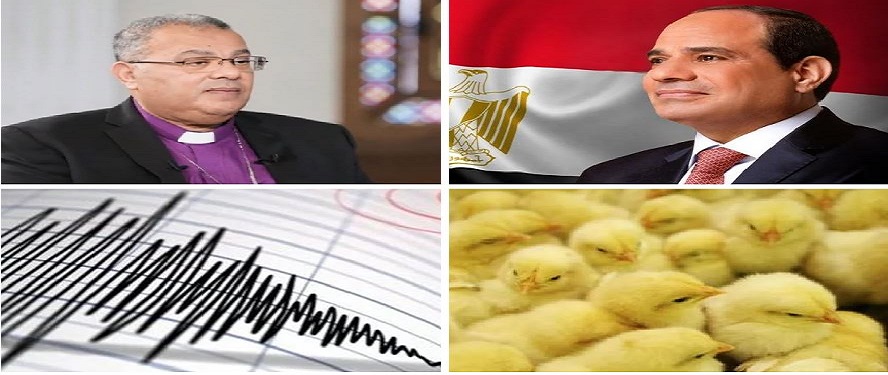 اخبار التوك شو