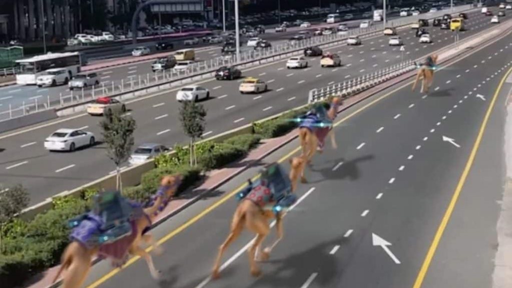 جمال تركض على طريق الشيخ زايد.. ماذا حدث؟
