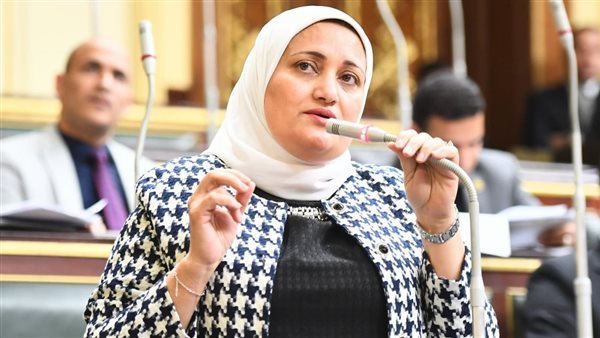 سناء السعيد، عضو مجلس النواب 