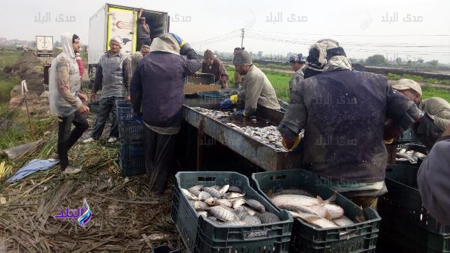 صيد الأسماك