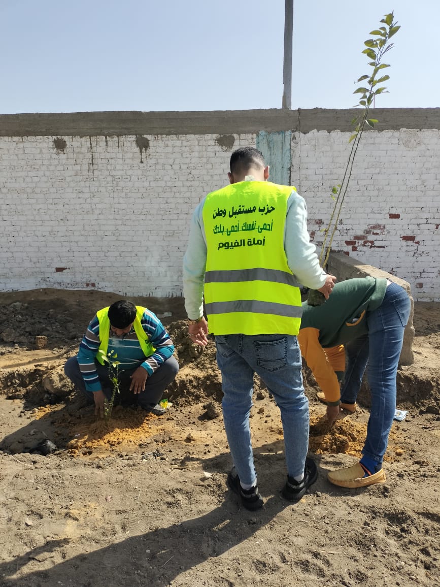 أعضاء حزب مستقبل وطن بالفيوم أثناء الحملة