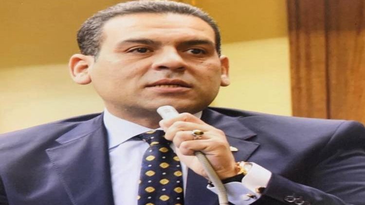 أحمد نشأت منصور، عضو مجلس النواب 