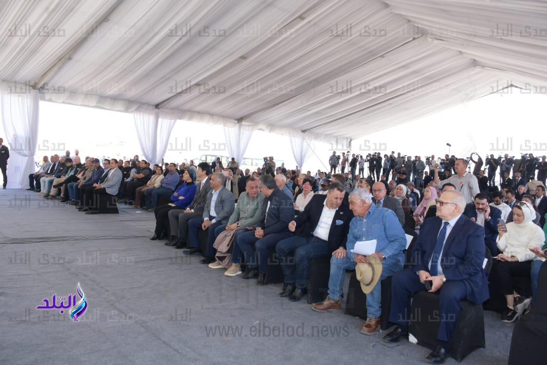 جامعة القاهرة