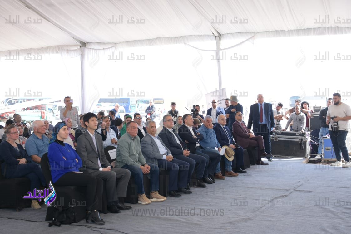 جامعة القاهرة