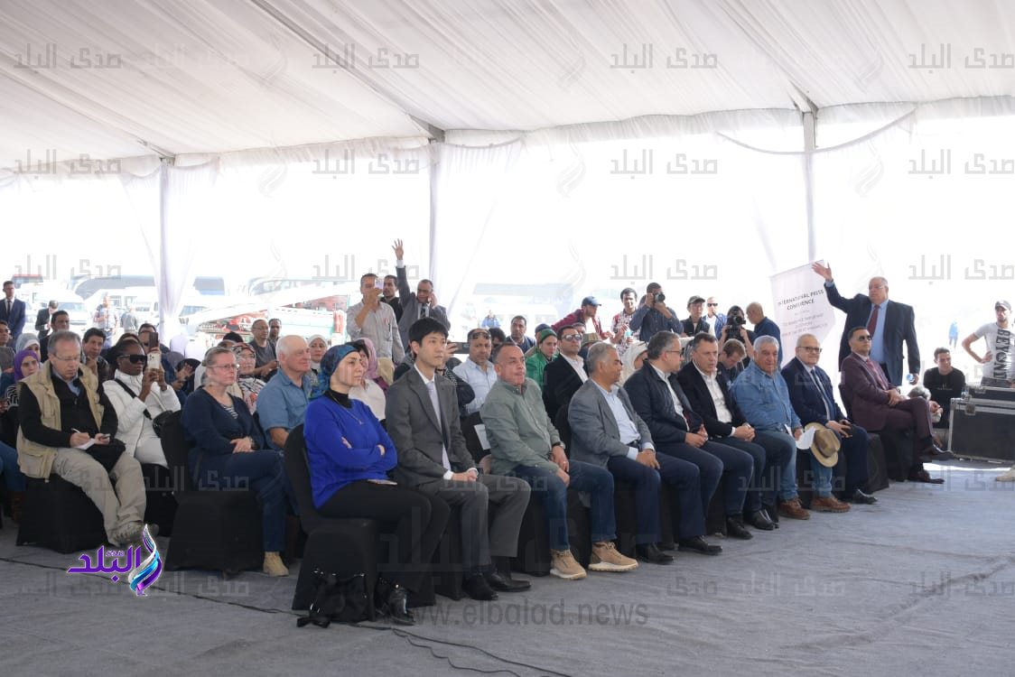 جامعة القاهرة