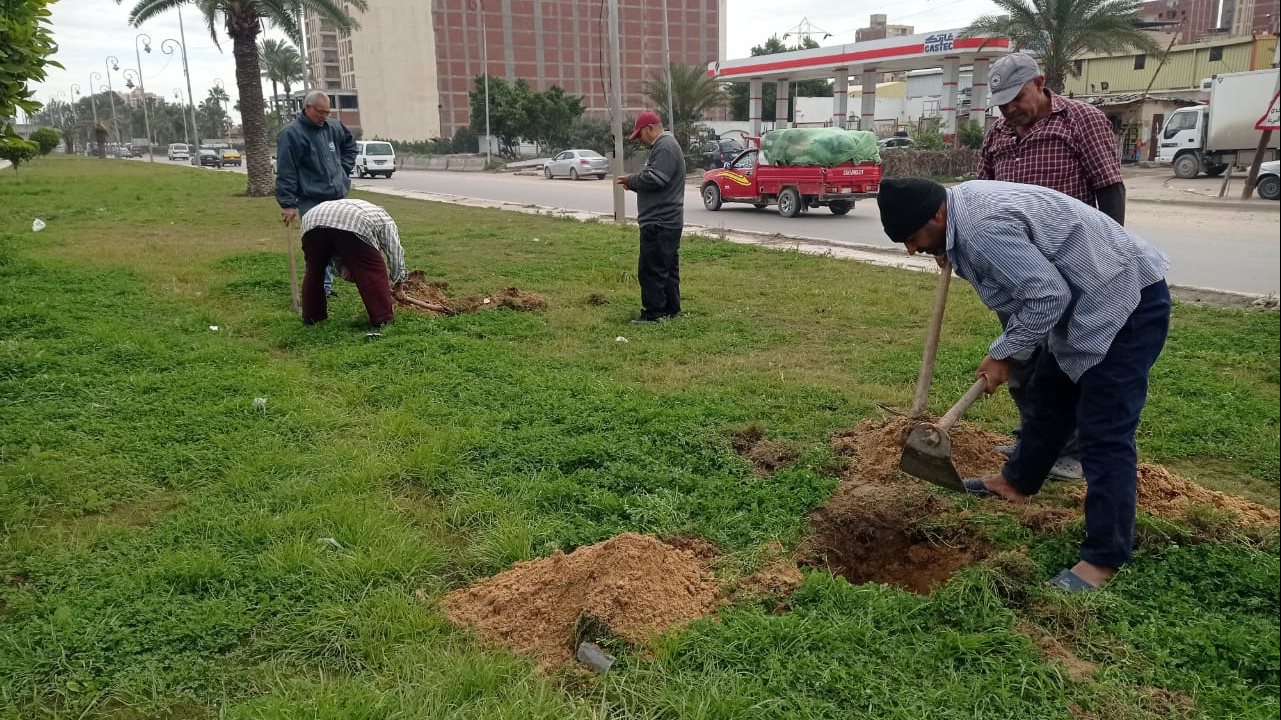 مبادرة 100 مليون شجرة بالإسكندرية
