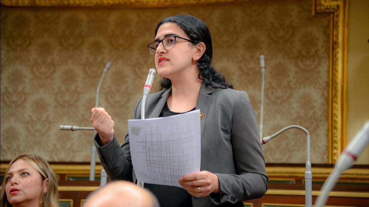 النائبة روان لاشين عضو لجنة العلاقات الخارجية بمجلس النواب