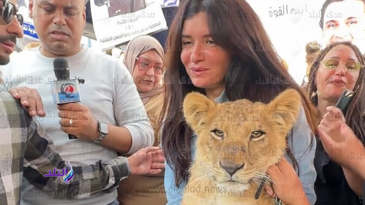 غادة عادل