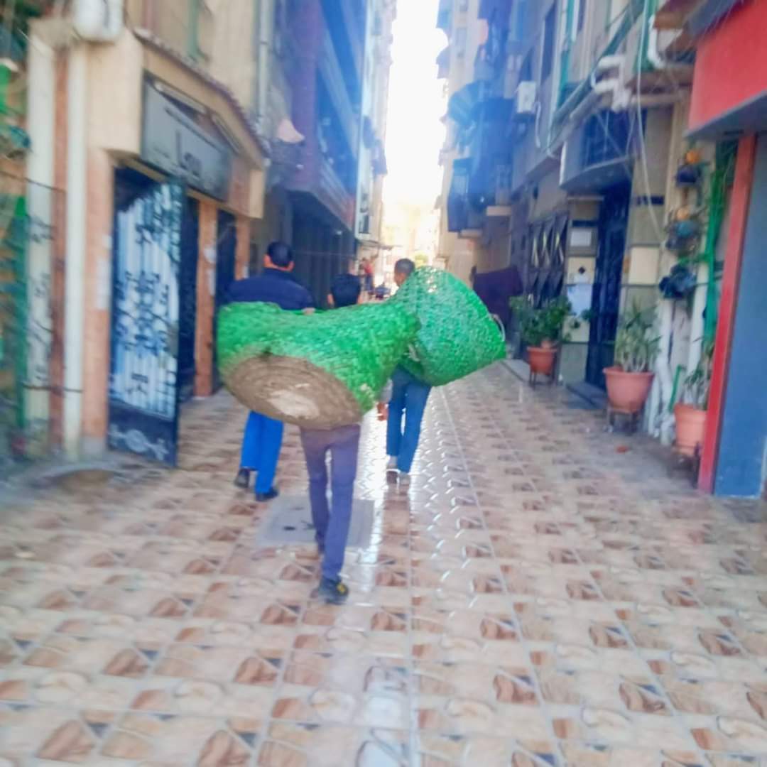 FB_IMG_1677918863512