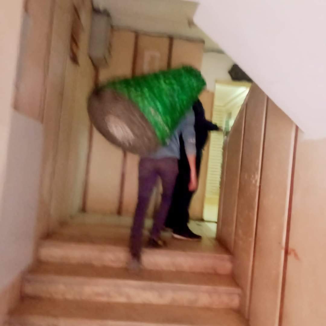 FB_IMG_1677918857336