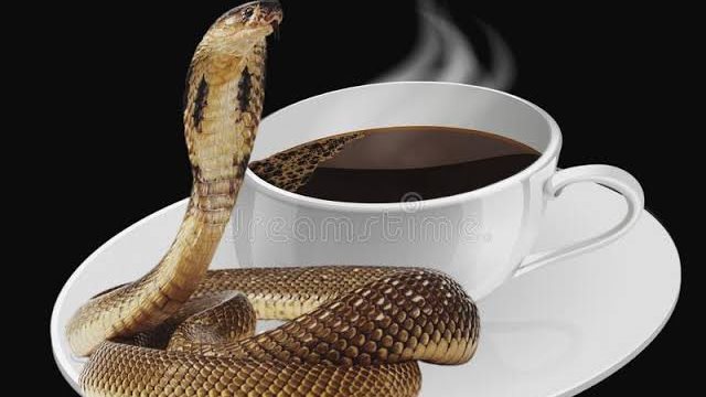 مقهى الزواحف 