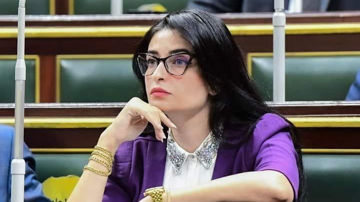 النائبة إيرين سعيد عضو لجنه الصحة