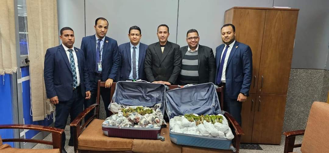 صورة موضوعية