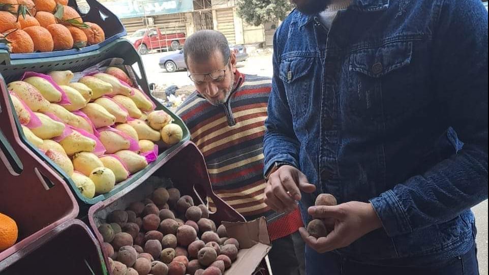 صوره من الحملات