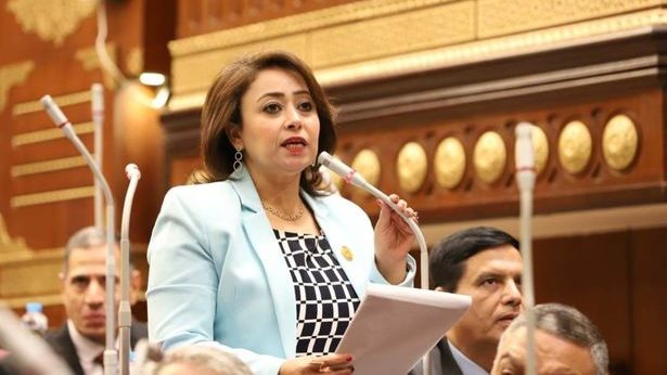 رشا إسحق، أمين سر لجنة حقوق الإنسان بمجلس الشيوخ 