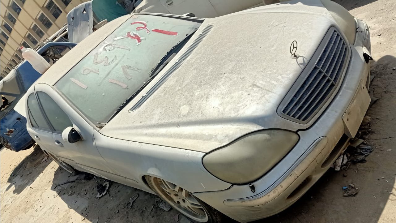 صورة من الحدث 