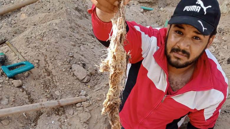 خلال الأعمال خلال الأعمال