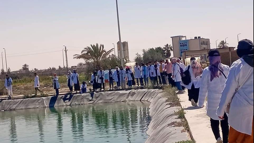 زيارة لمزارع الأسماك بجامعة العريش 