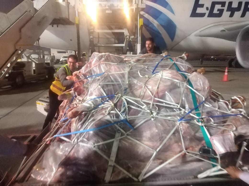 1a9d6738-78be-4fd1-b89a-a9709e57ad4e