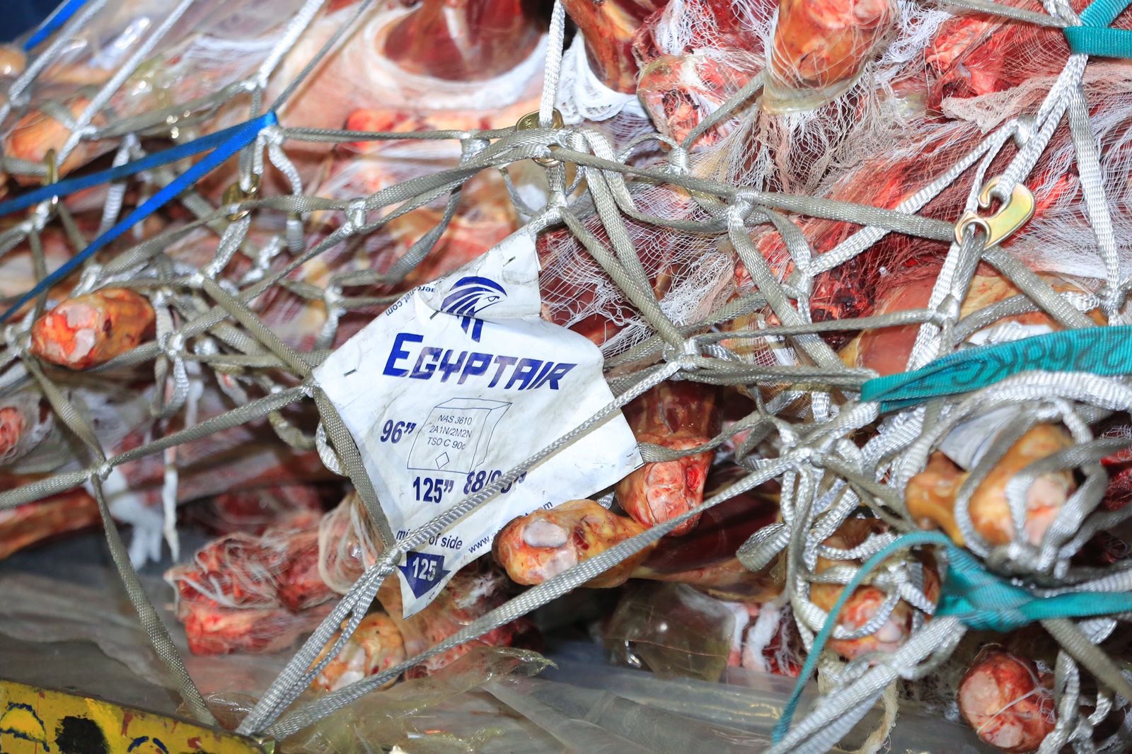 b04a1e9e-91ce-48f9-8cc0-cc0b26e84f4f