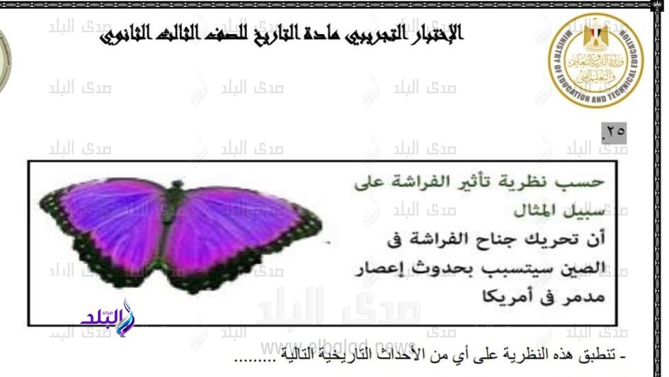 نظرية الفراشة