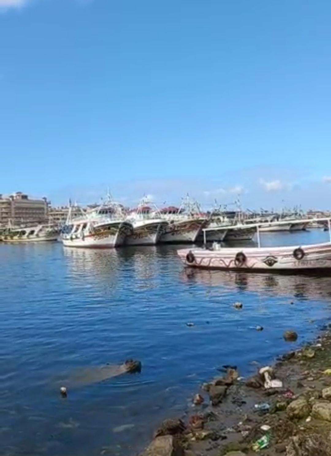 عزبه البرج 