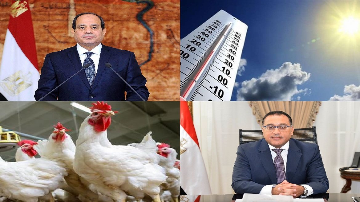 اخبار التوك شو