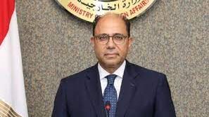 السفير أحمد أبوزيد 