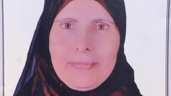 الأم المثالية الأم المثالية