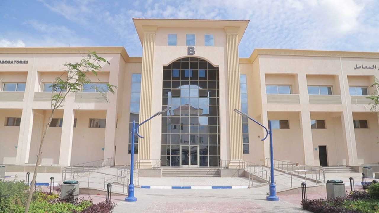 جامعة برج العرب التكنولوجية