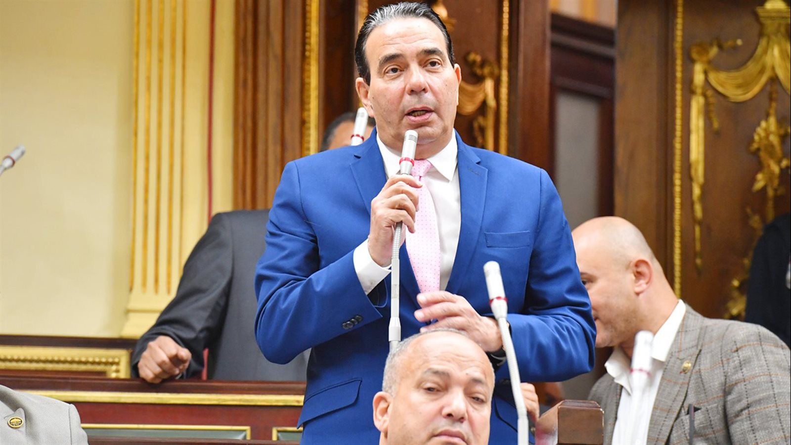  الدكتور أيمن أبوالعلا