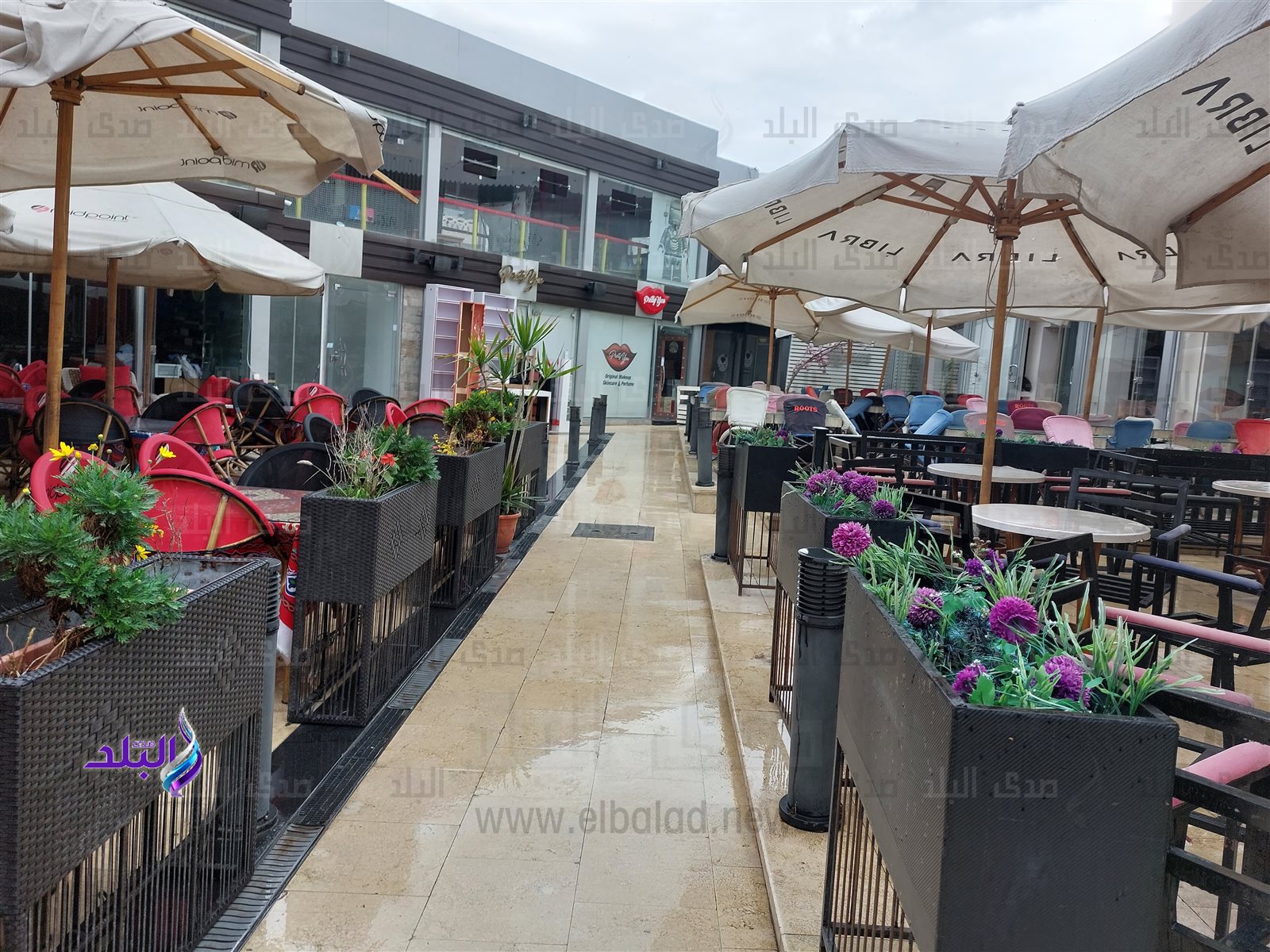 ٢٠٢٣٠٣١٩_١٤٥٢٥٤