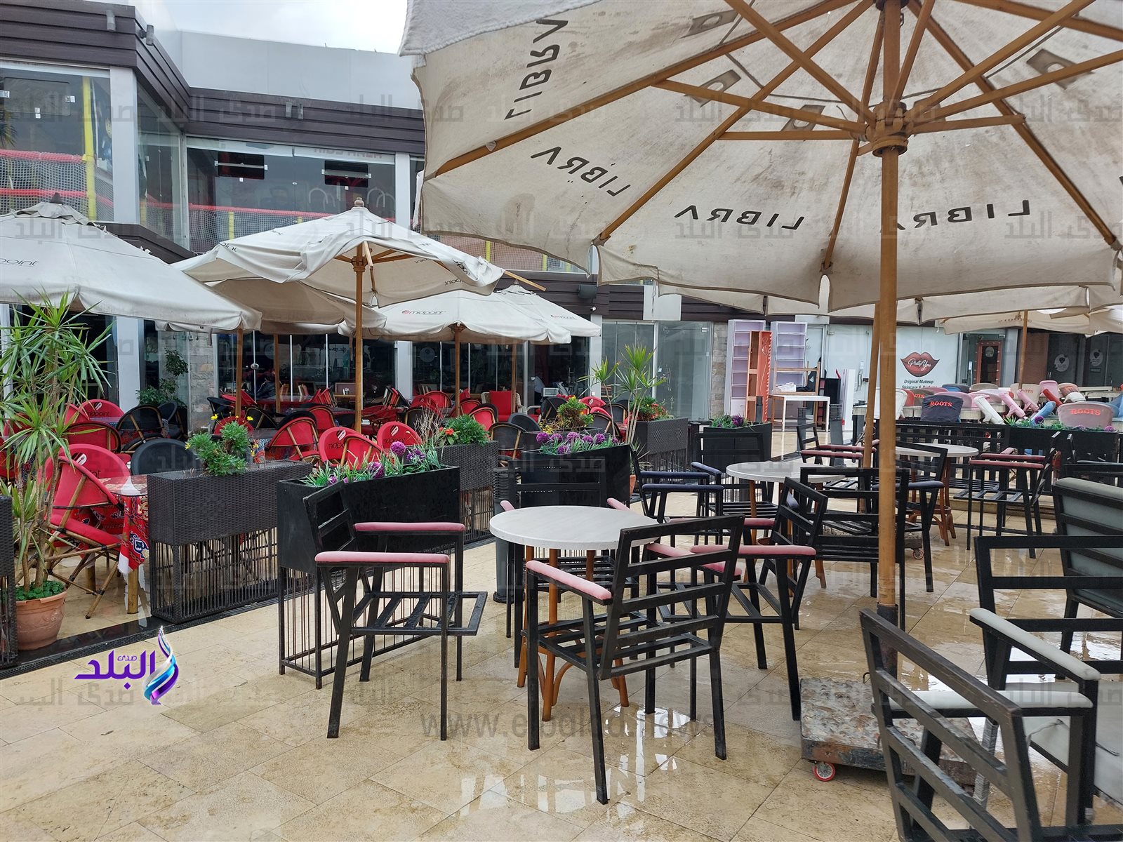 ٢٠٢٣٠٣١٩_١٤٥٢٤٩