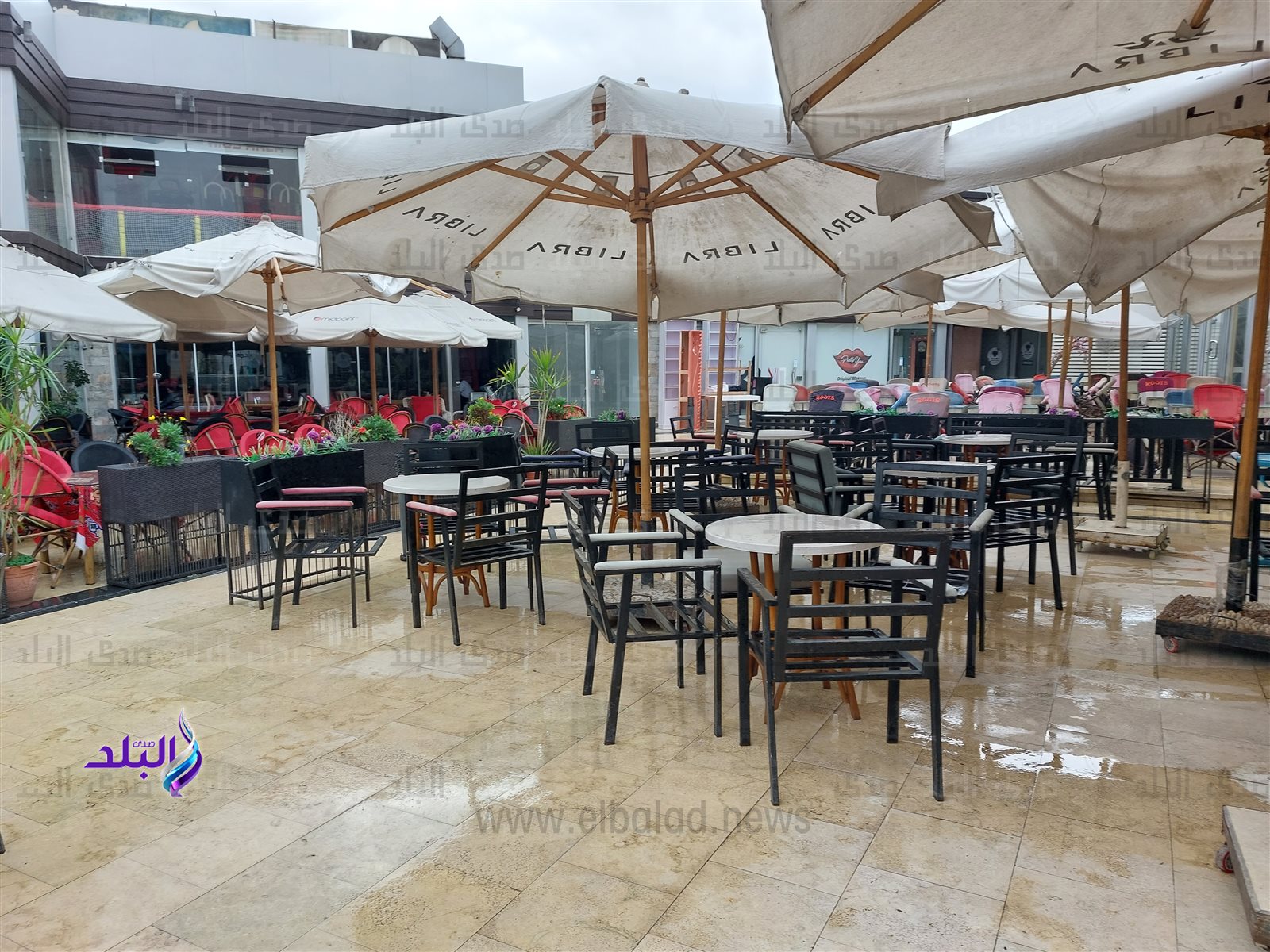 ٢٠٢٣٠٣١٩_١٤٥٢٤٦