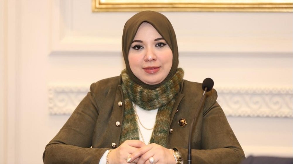  الدكتورة دينا هلالي، عضو مجلس الشيوخ