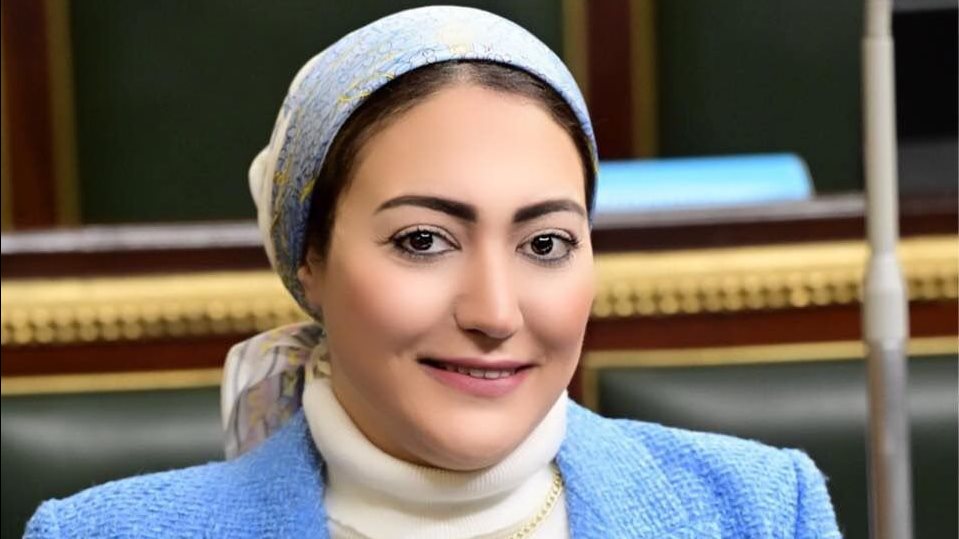 النائبة أسماء الجمال، عضو مجلس النواب 